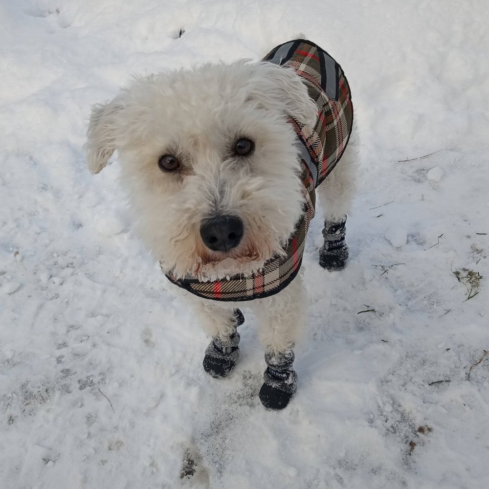 Meet your Posher, Samantha